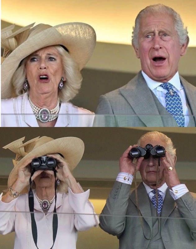 Создать мем: герцогиня корнуольская, герцогини, принц чарльз и камилла