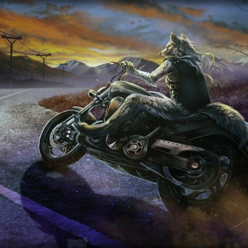 Create meme: wolf on a motorcycle, art motorcycle, wolf fantasy