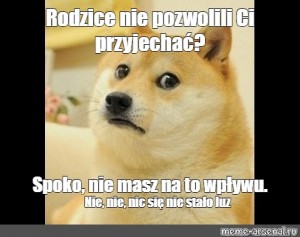 Create Meme Doge Png Doge Sad Doge Pictures Meme Arsenal Com