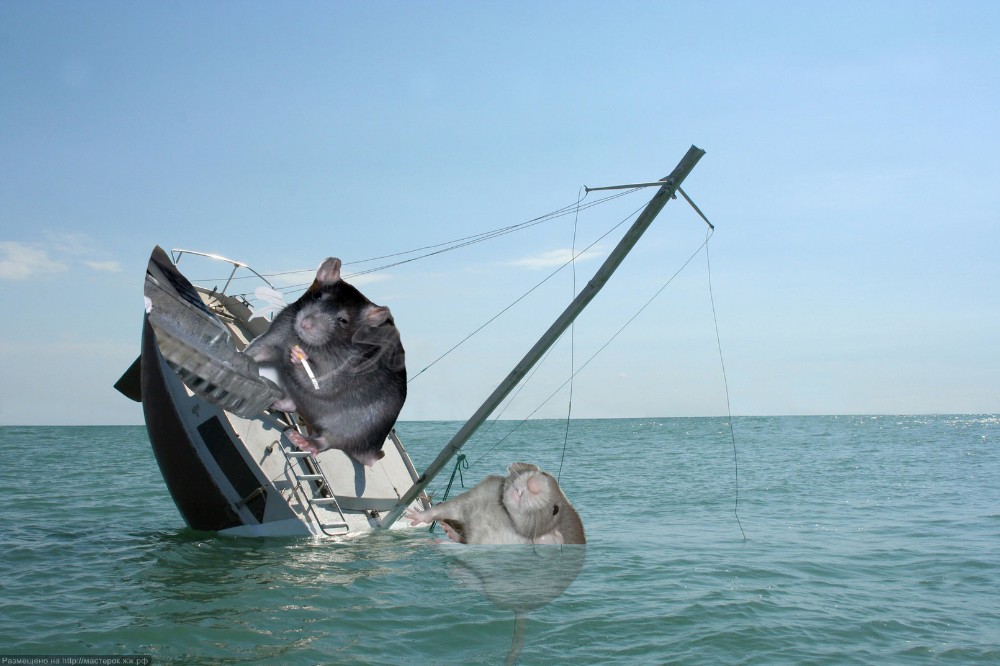 sinking yacht meme