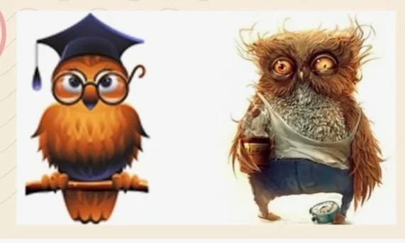 Create meme: sleepy owl, sleepy owl, tired owl