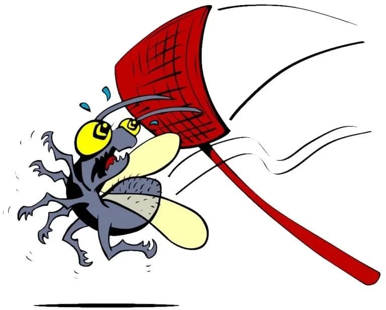 Create meme: The mad fly, fly cartoon, the mosquito 