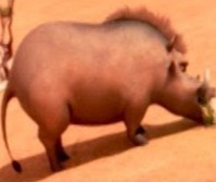 Create meme: pig, Hippo