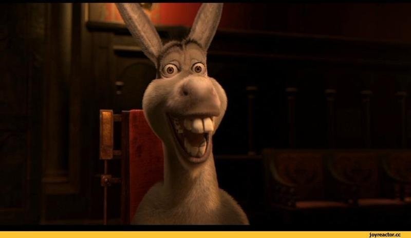 Create meme: Shrek , donkey from shrek meme, meme donkey from Shrek 