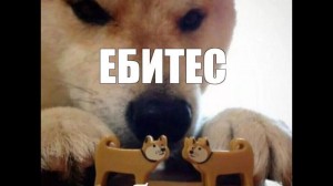 Создать мем: ебитес мем, пес ебитес, собачка ебитес