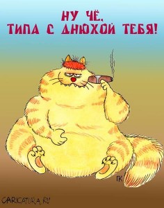 Создать мем: Кошка, коты, кот