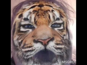 Create meme: tiger, Tigor