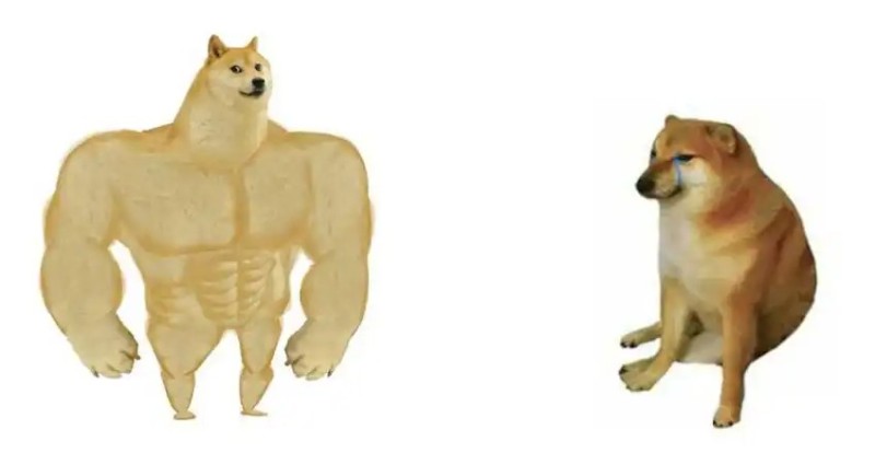 Create meme: shiba inu meme jock, pumped up dog meme, the pumped-up dog from memes