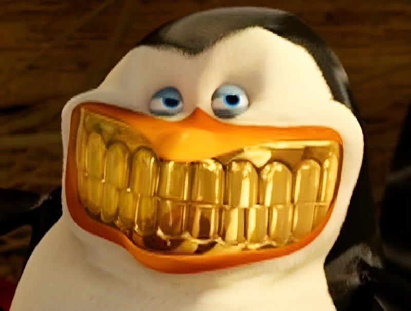 Create meme: skipper with golden teeth penguins from madagascar, the skipper with the golden teeth, penguin from Madagascar