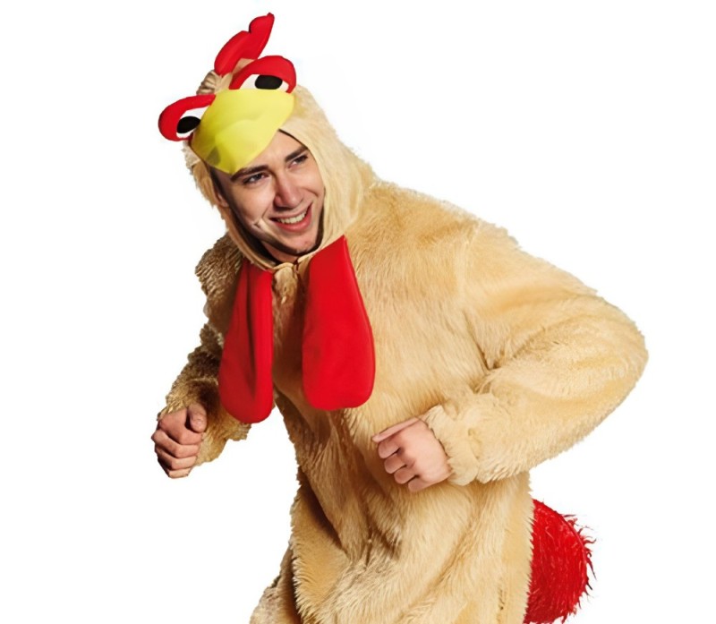 Create meme: funny chicken costume, a cock costume adult, the chicken suit