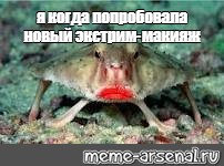 Создать мем: null