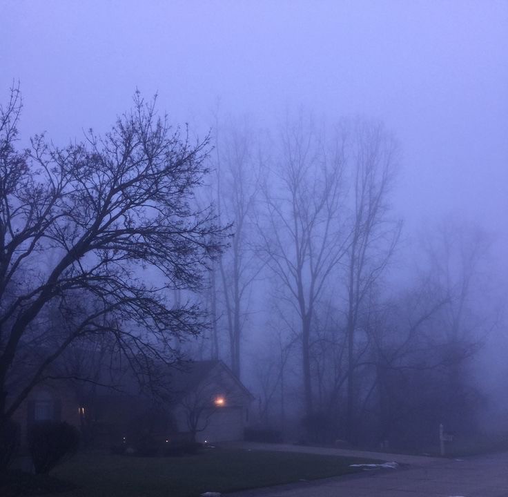 Create meme: morning fog , Fog fog, Gloomy winter landscape