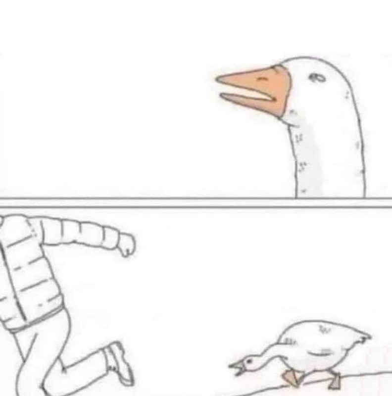 Create meme: geese meme, meme about goose and down jacket, geese memes