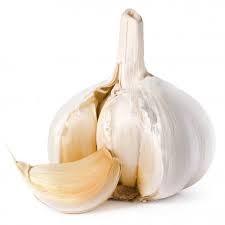 Create meme: garlic