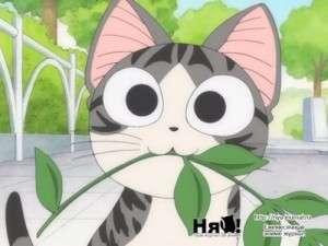Create meme: chii, chii, anime kitty