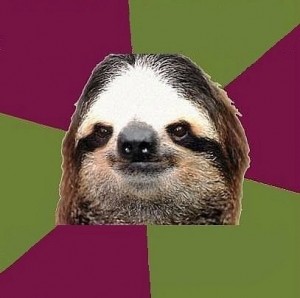 Create meme: sloth