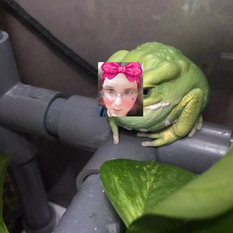 Create meme: vital 's truboeb, toad frog, vital's truboeb frog