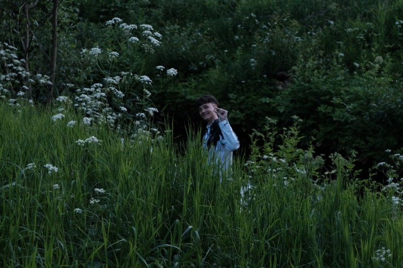 Create meme: nature , a plant with white umbrellas, grass 