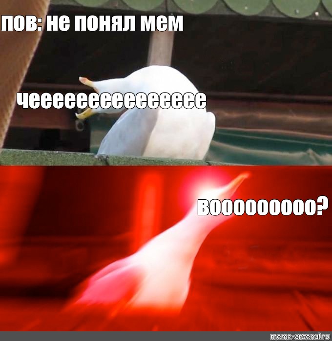 Создать мем: null