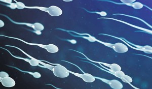 Создать мем: сперматозоиды лаборатория, абстракции волна сперматозоиды, мужская семенная жидкость