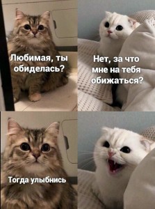 Создать мем: кот из последних сил, котэ, про кота