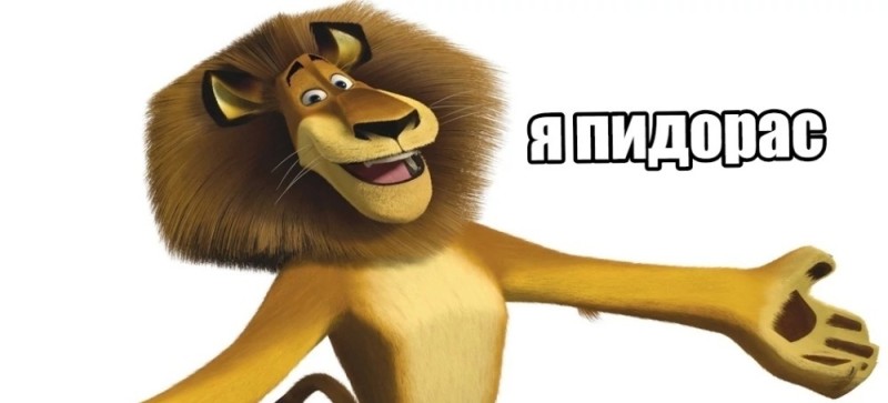 Create meme: Madagascar lion, lion from Madagascar, Alex the lion from Madagascar