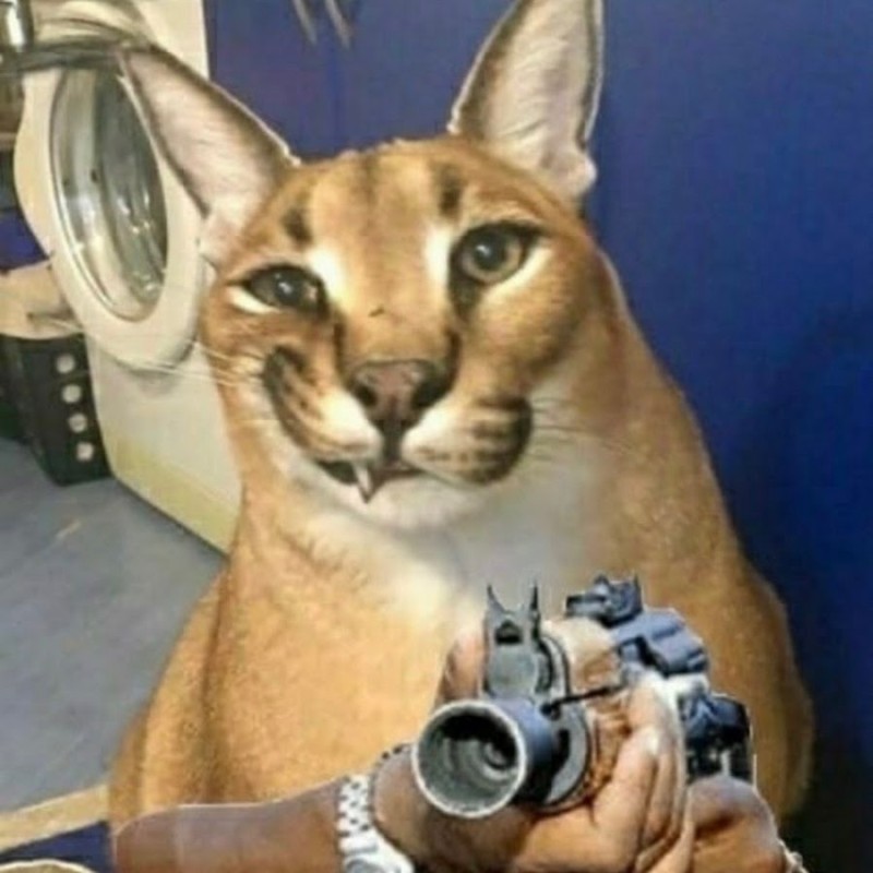 Create meme: Caracal, caracal floppa, karakal gosha