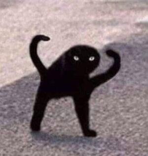 Create meme: black cat joy, the original has been eaten, The original cat