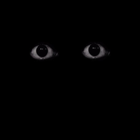 Create meme: scary eyes on a black background, eyes in the dark, darkness