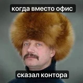 Create meme: men's fur hat, fur hat, men's fur hat