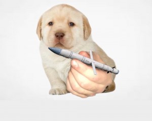 Create meme: Labrador puppies, Labrador Retriever