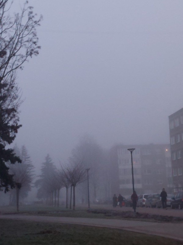 Create meme: thick fog , Into the fog, Fog fog