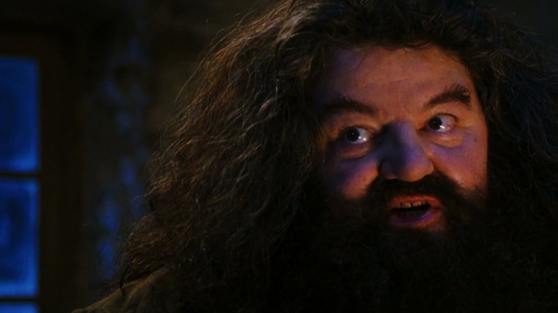 Create meme: Robbie Coltrane is Hagrid, Hagrid you're a wizard Harry, Hagrid from Harry