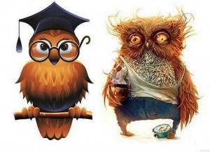 Create meme: sleepy owl, the end of the school year pictures are cool, at the beginning of the school year a wise owl at the end of the year