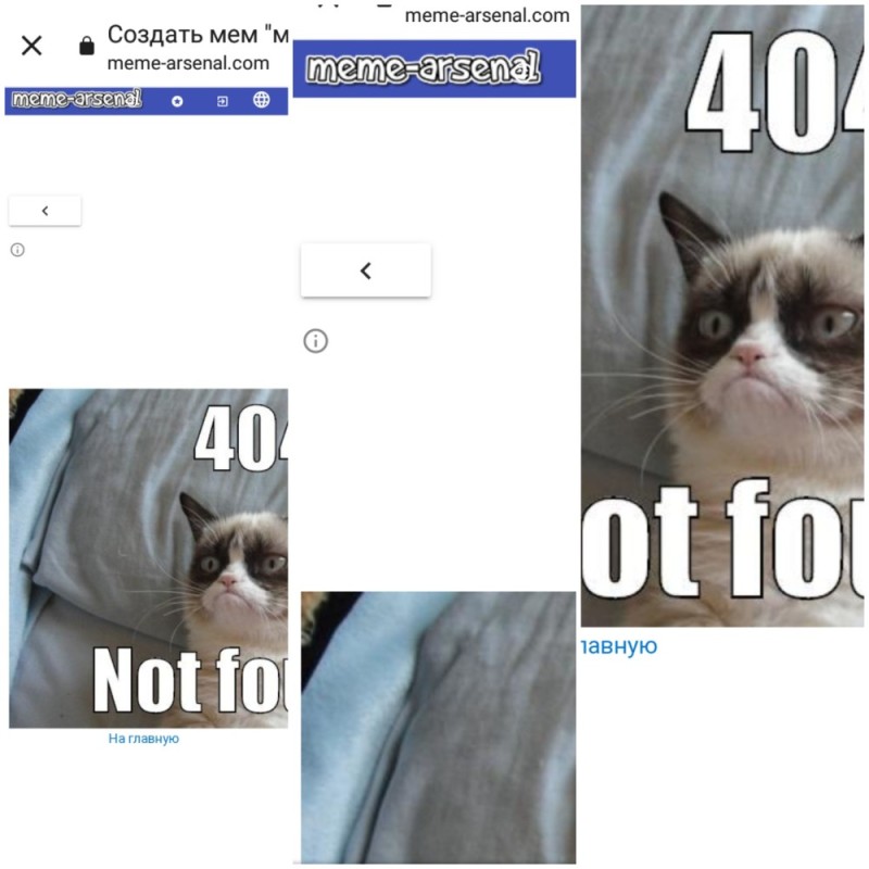 Создать мем: кошка мем, поп кэт мем, grumpy cat мем