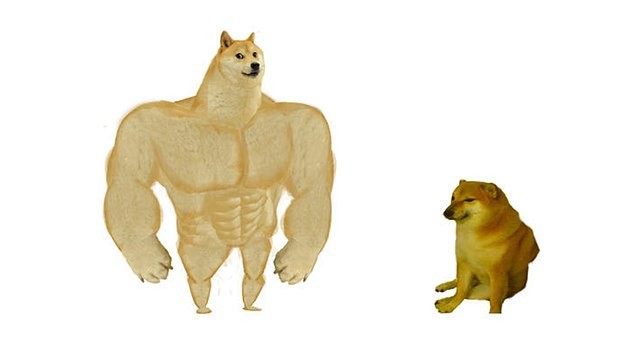 Create meme: inflated dog meme, the pumped-up dog from memes, shiba inu meme jock