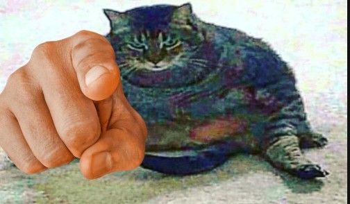 Create meme: cat , cats , Kote 