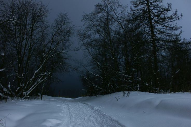 Create meme: forest in winter, winter road, winter snow 