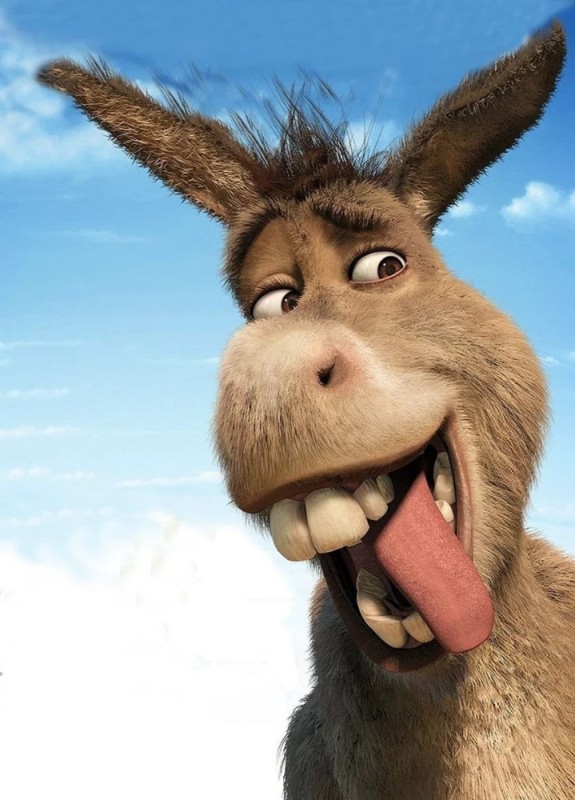 Create meme: donkey shrek, The smiling donkey from Shrek, smile donkey from Shrek