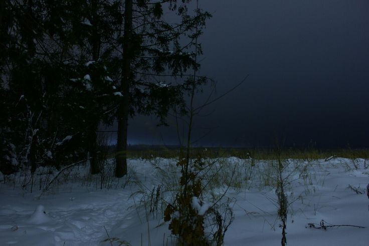 Create meme: winter in the forest at night, in the winter forest, winter forest night moon