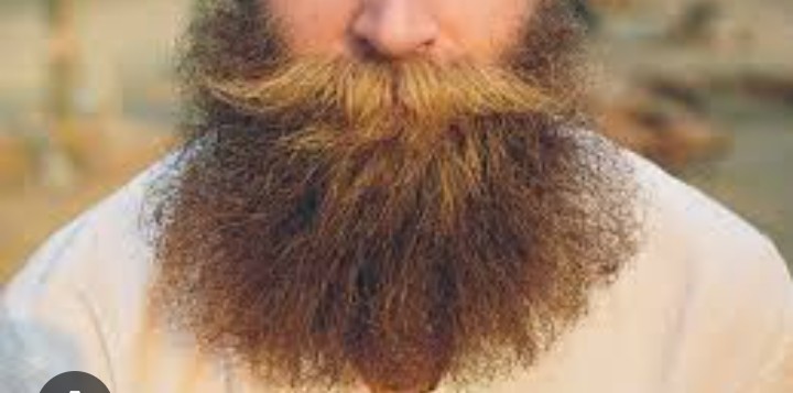 Создать мем: бородатые мужики, былинушка борода, борода на руси
