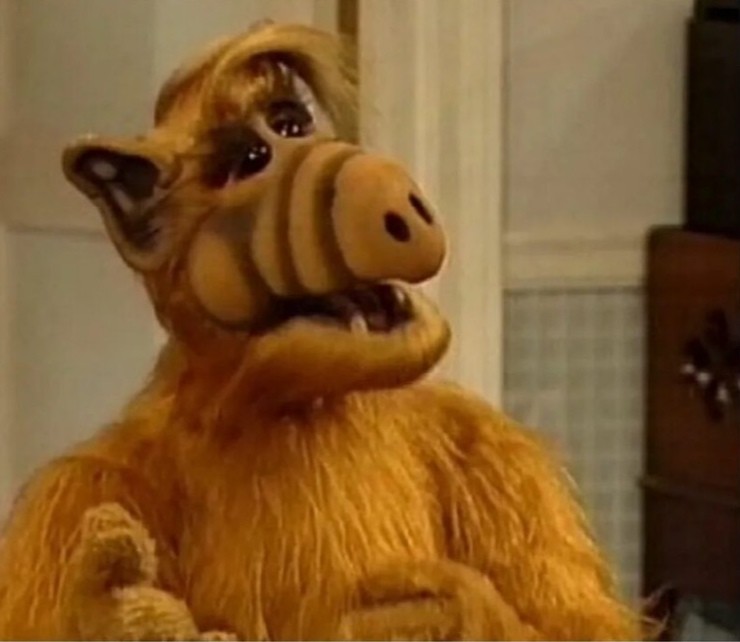 Create meme: the alf series, Alf TV series 1986, Natasha Natasha