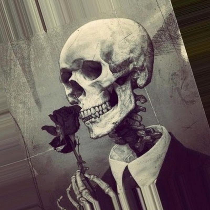 Create meme: skeleton with rose, skeleton art, skull skeleton