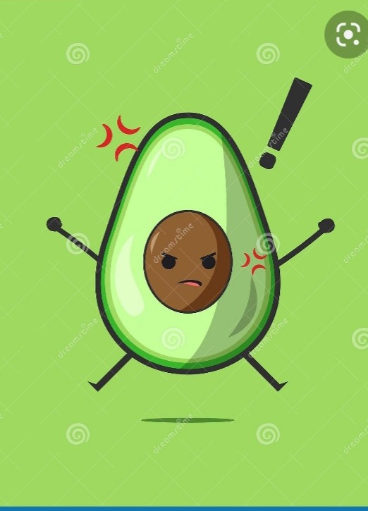 Create Meme Avocado On White Background Avocado Pictures Meme