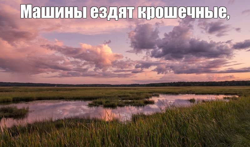 Создать мем: marsh, пейзажи природа, пейзаж