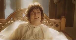 Create meme: Frodo Baggins, the Lord of the rings Frodo, Frodo woke up in Rivendell