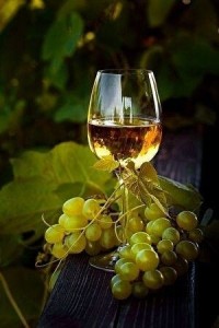 Create meme: wine glass, wine, grapes