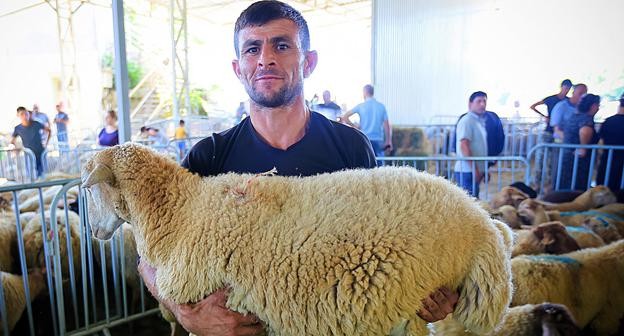 Создать мем: баран, дагестанская горная тонкорунная порода овец, кубанская мясная порода овец