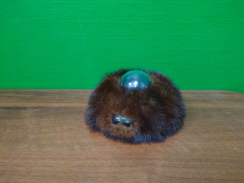 Create meme: fur camera, beaver hat, fur