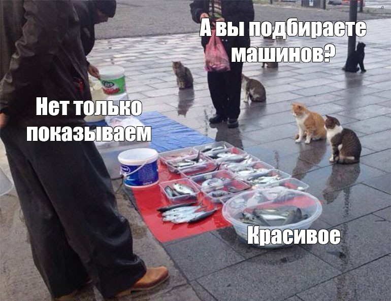 Просто показываю